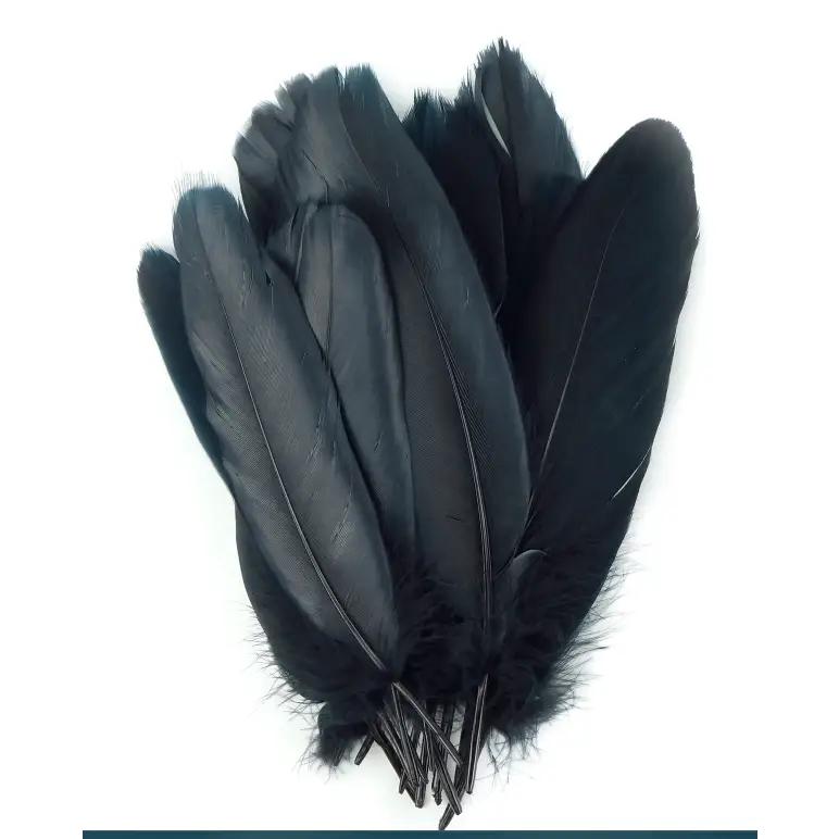 Ethically sourced black goose feather, approximately 8 inches long, with smooth, glossy texture, displayed on a white background. Perfect for smudging, purification, and sacred rituals.