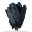 Ethically sourced black goose feather, approximately 8 inches long, with smooth, glossy texture, displayed on a white background. Perfect for smudging, purification, and sacred rituals.