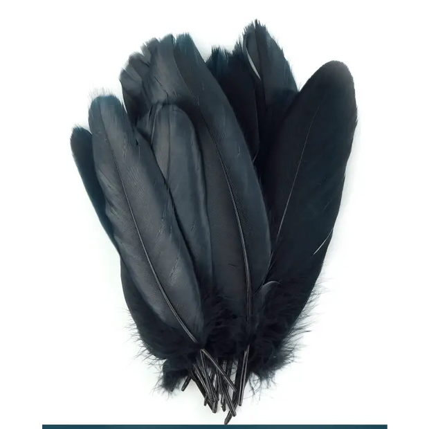 Ethically sourced black goose feather, approximately 8 inches long, with smooth, glossy texture, displayed on a white background. Perfect for smudging, purification, and sacred rituals.