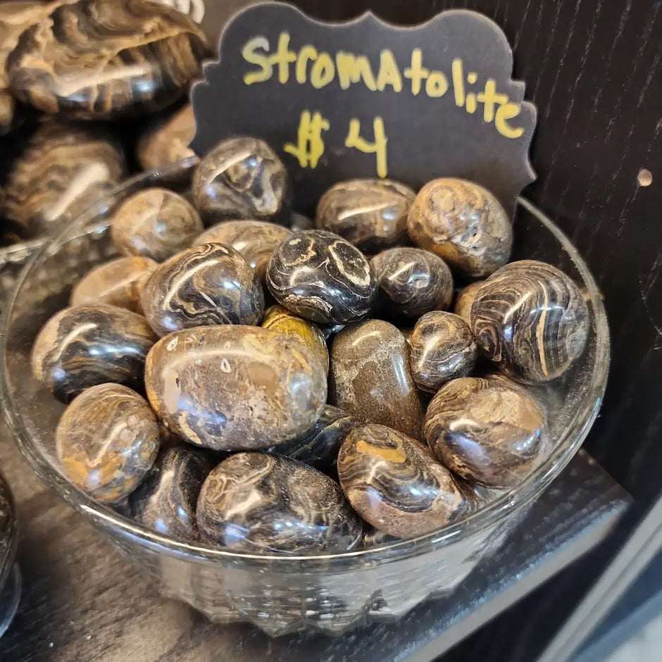 STROMATOLITE TUMBLES - Tumbles