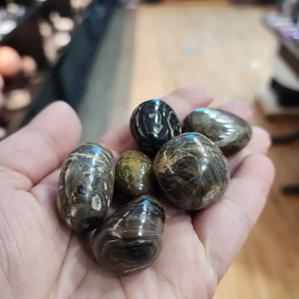 STROMATOLITE TUMBLES - Tumbles