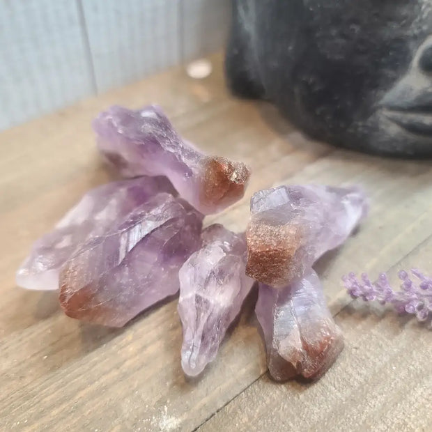 Super 7 Specimens - 01. No Dot - Specimens