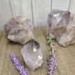 Super Seven Specimens (MELODY STONE) - Specimens