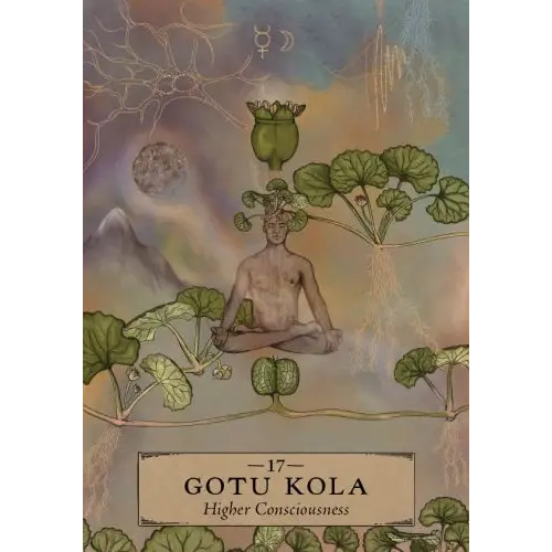 🌿✨ The Herbal Astrology Oracle – 55-Card Deck and Guidebook by Adriana Ayales – Heal Align and Unlock Plant Wisdom 🌙