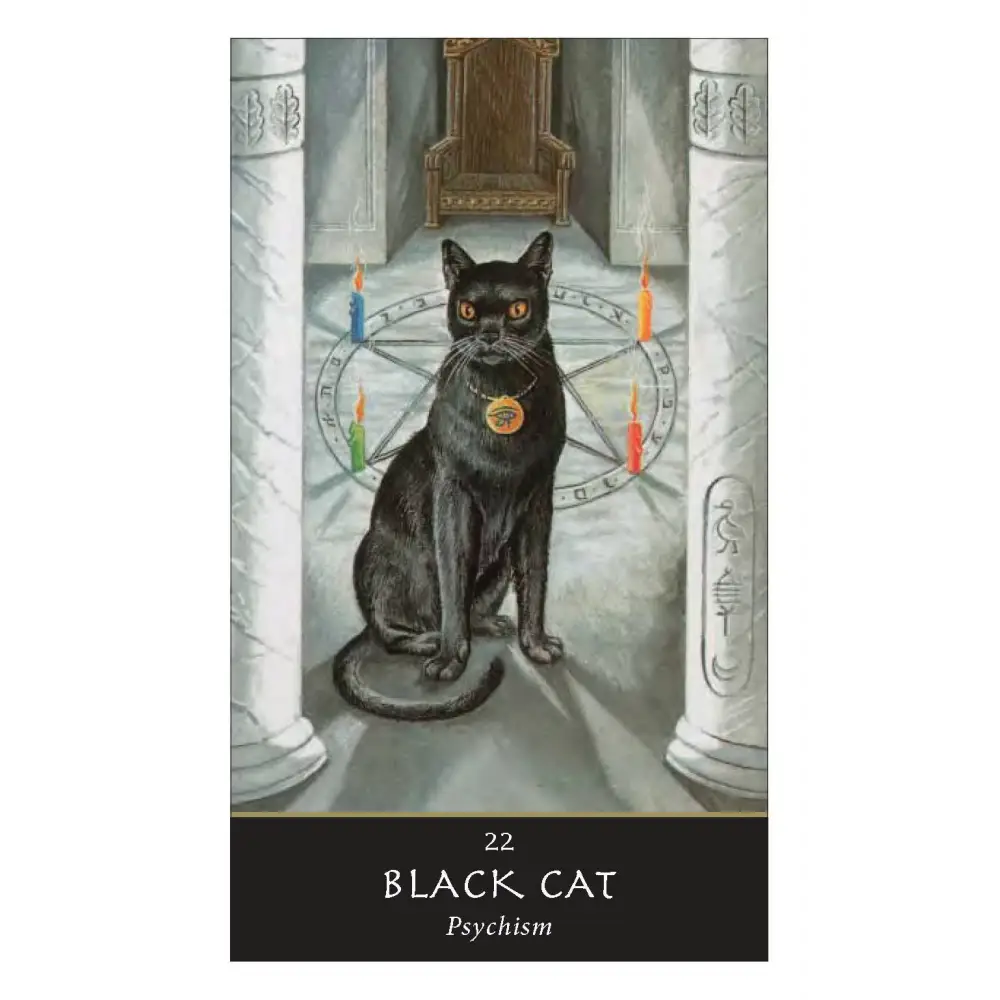 The Witches’ Oracle: (Book & Cards) - Tarot Decks & Divination