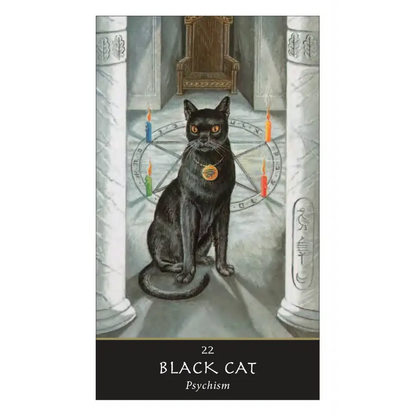 The Witches’ Oracle: (Book & Cards) - Tarot Decks & Divination