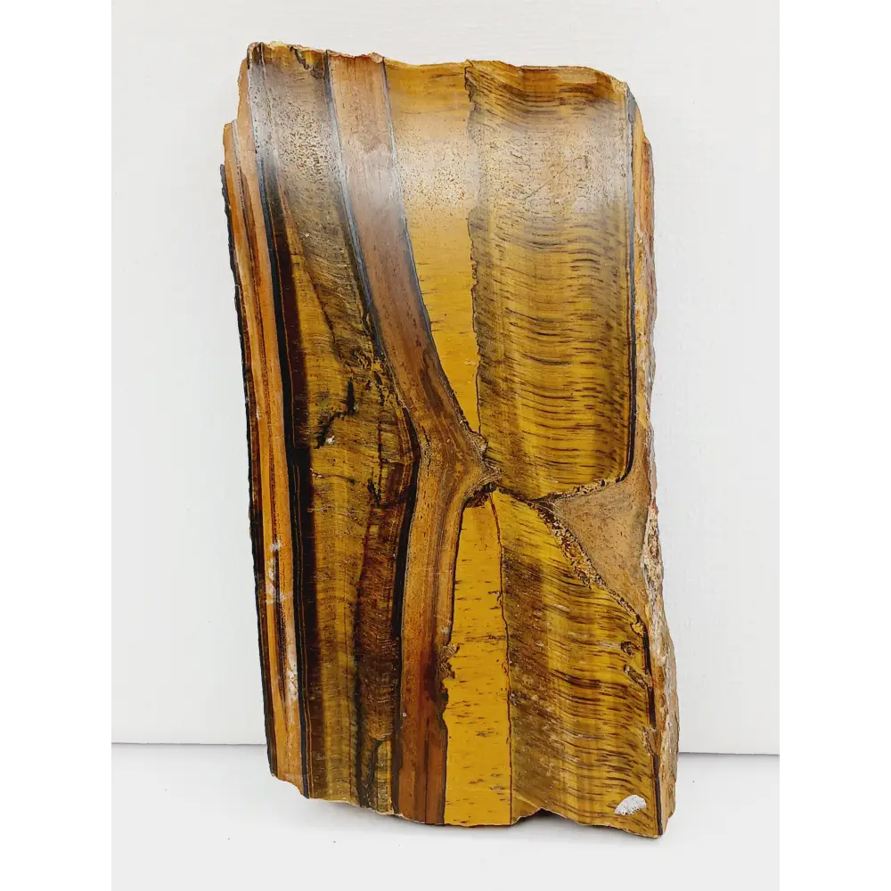 🐅✨ Tigers Eye Slab – Protection Confidence and Manifestation 🌟 - Specimens