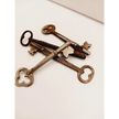 🗝️✨ Vintage Skeleton Keys – Unlock Magic Mystery and Possibility 🌙