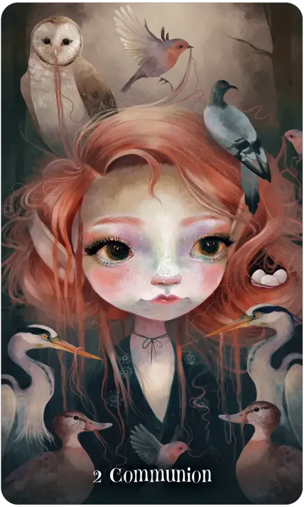 Wisdom of the Wild Things Oracle - Tarot Decks & Divination