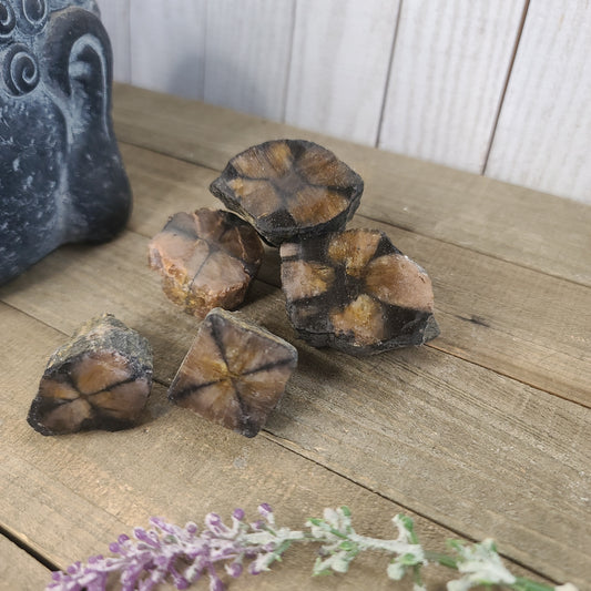 Chiastolite Cross Stone Unique and RARE!!!!!! Quartz